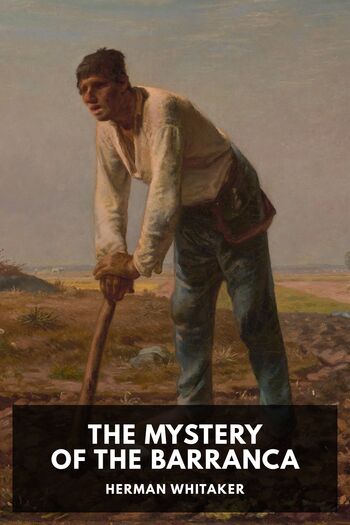The Mystery of the Barranca