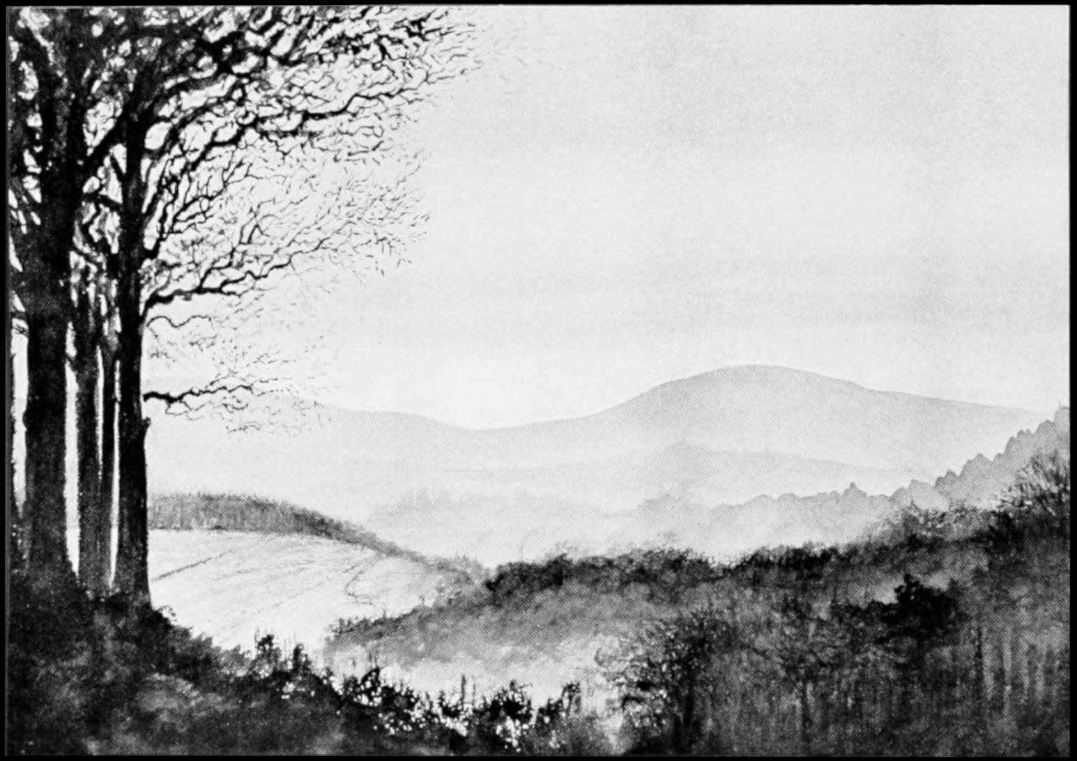Grayscale sketch of a landscape of rolling hills, fields, and forest stretching off into the distance, with several leafless trees on the far left in the foreground.