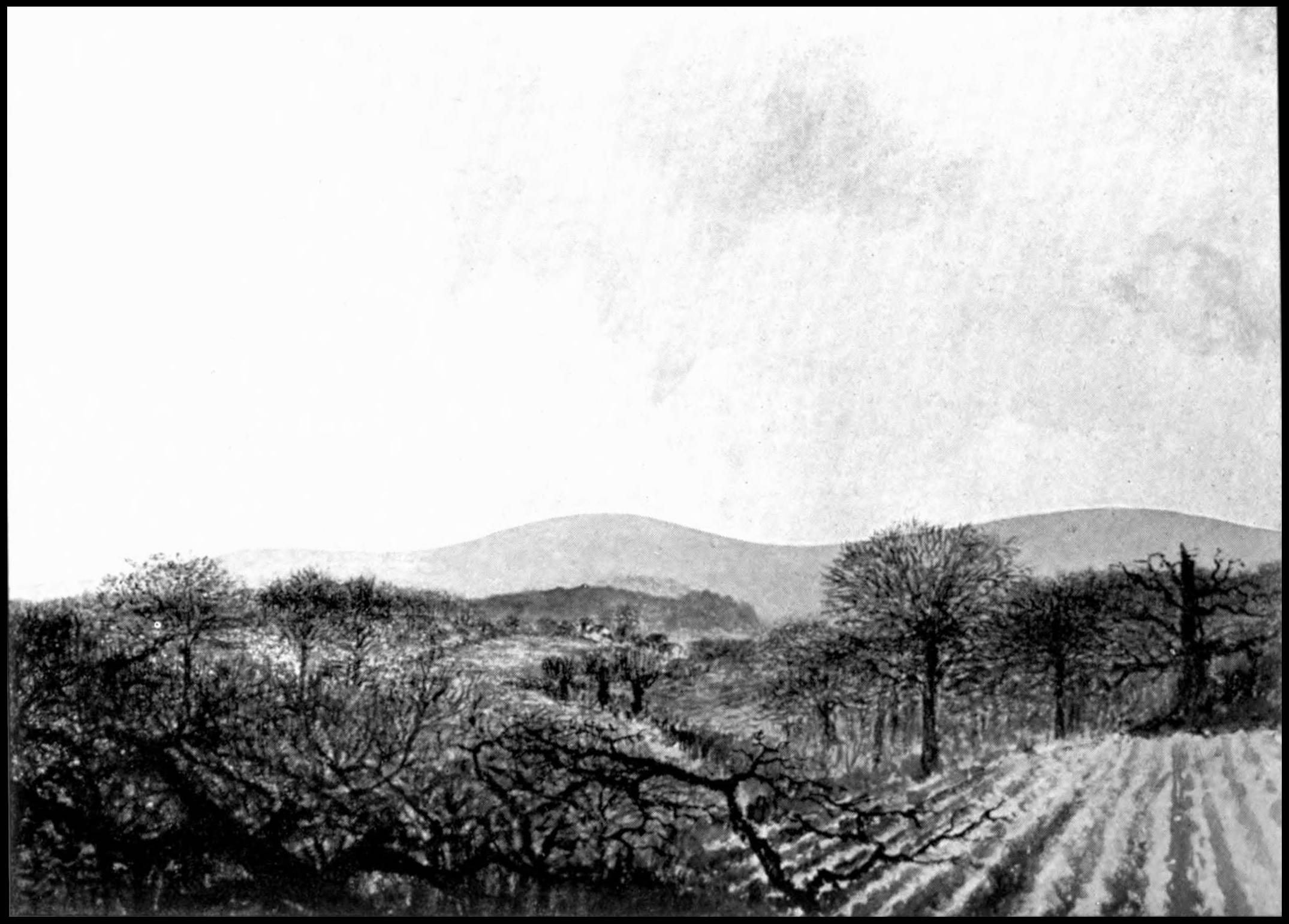 Grayscale sketch of a landscape with brambles or underbrush in the foreground to the left. A farm field is in the foreground to the right. Trees are behind, fading off into the distance.