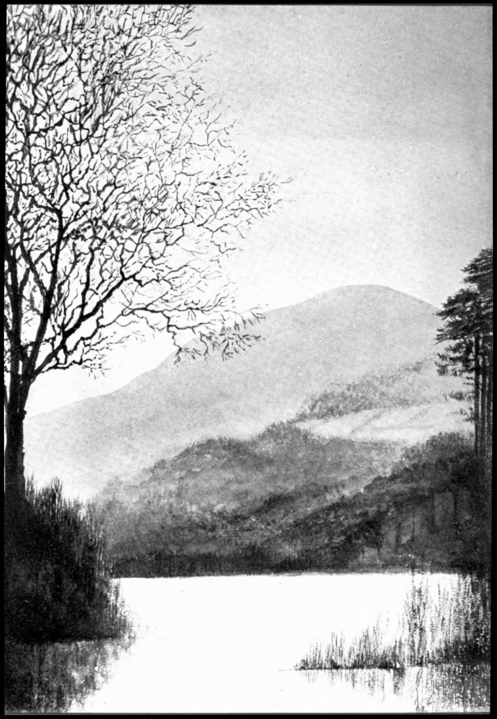 Grayscale sketch of a lake stretching into distant hills. A single tree stands in the foreground to the left, and several trees in the distance to the far right at the edge of the lake.