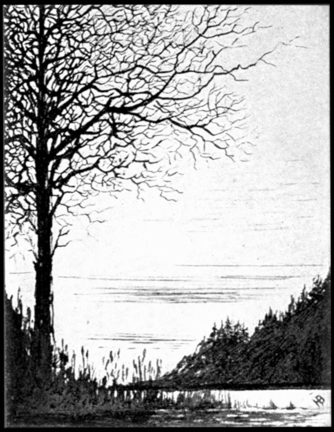Grayscale sketch of a landscape with a single tree without leaves in the left foreground, at the shore of a body of water. A rough forest is in the distance to the right. Small lines of fog or clouds are in the background.
