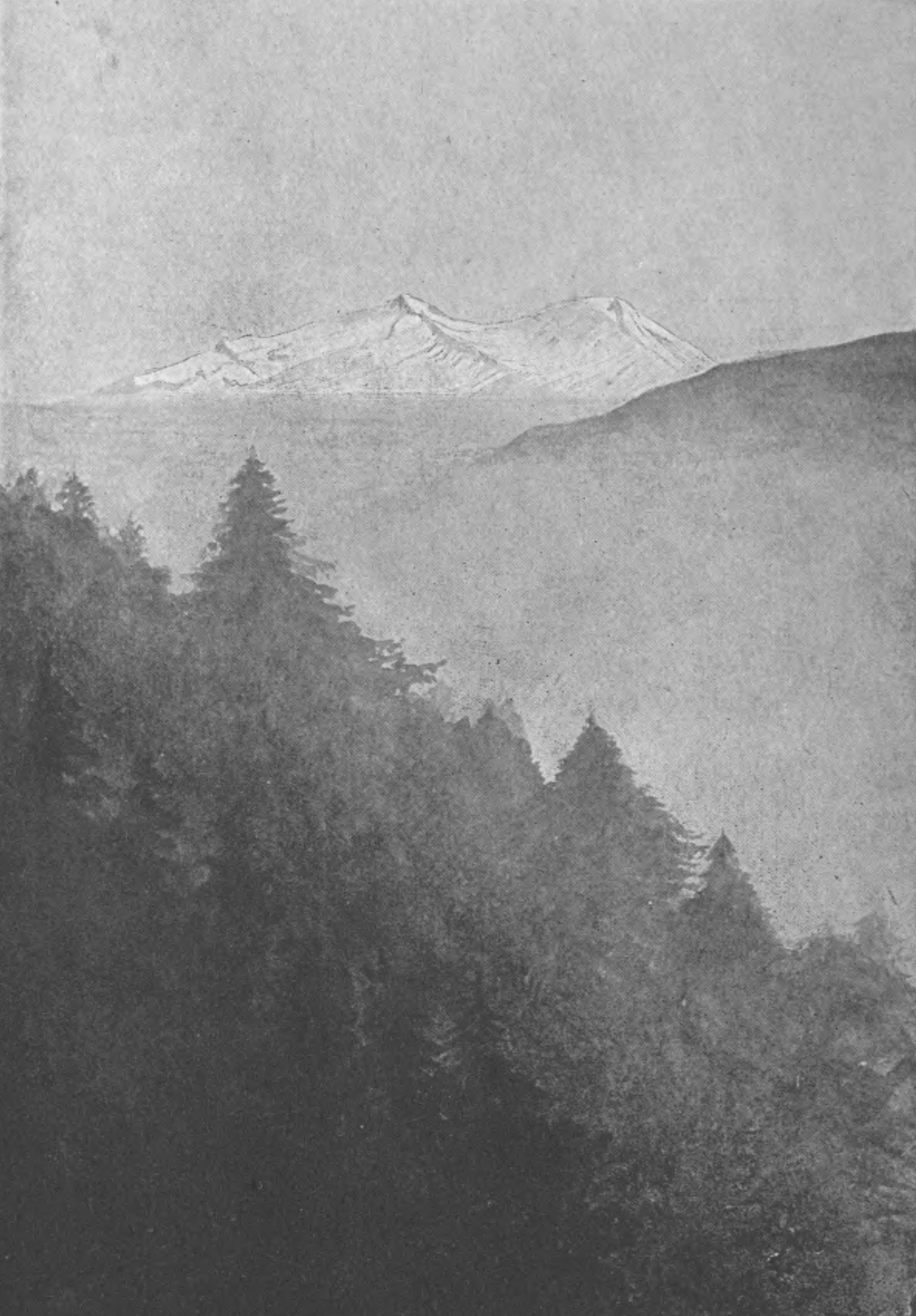 Sketch of a view from the top of a mountain, overlooking a forest. Tall white mountains rise in the distance from a plain.