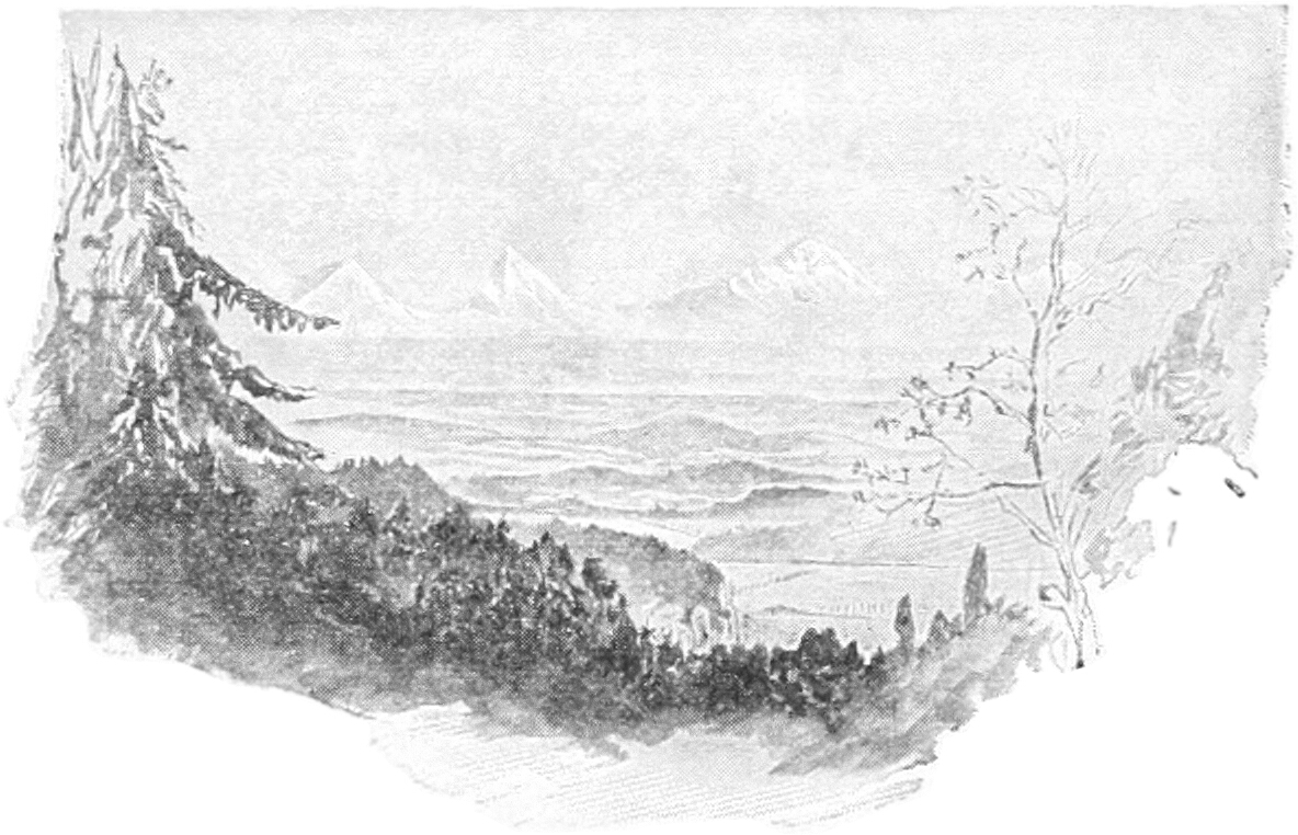 Sketch of the Alps with pine forest in the lower foreground, a large pine tree to the left, a deciduous tree without most of its leaves to the right, and a hilly valley in front of large peaks in the distance.