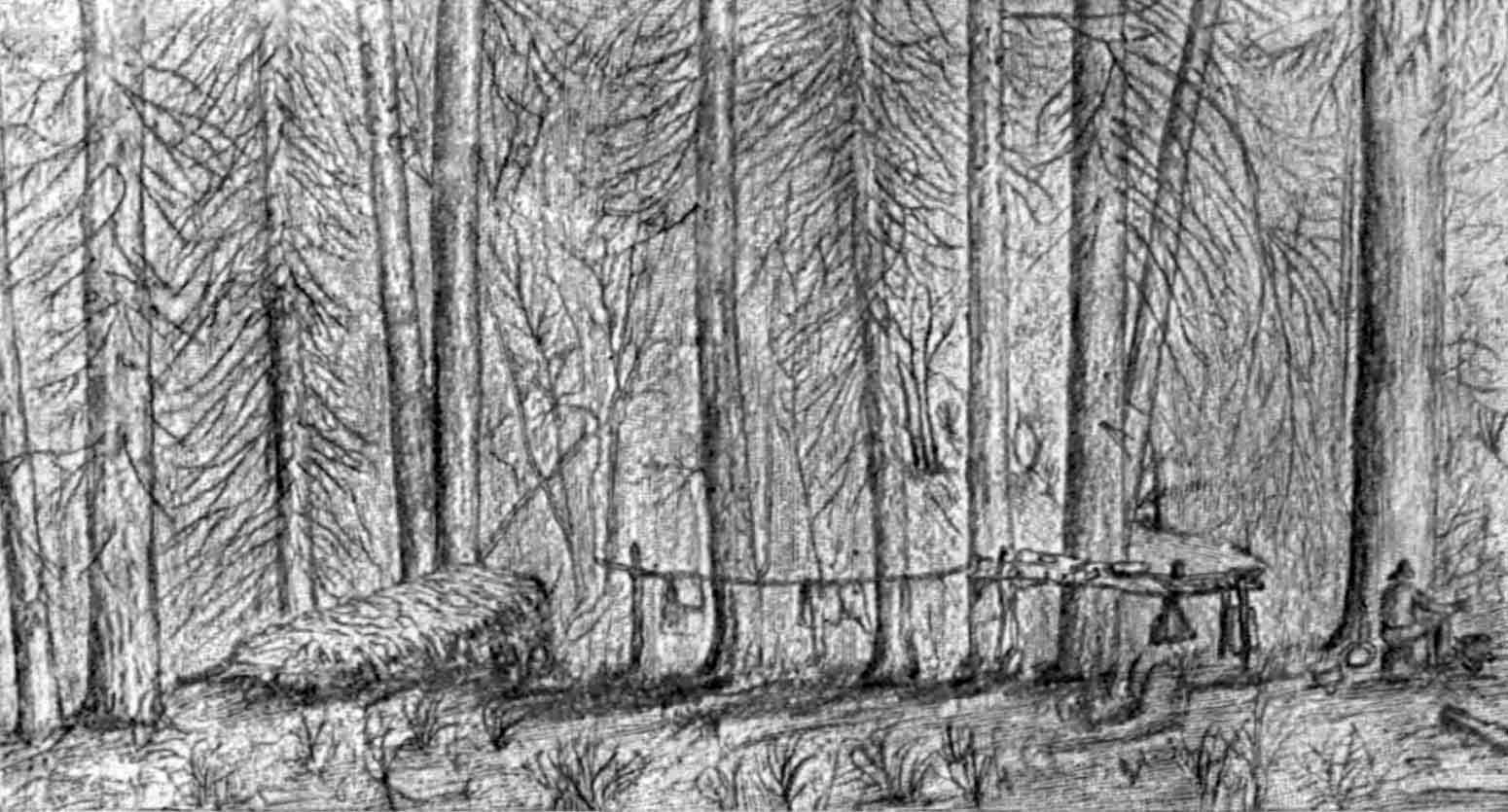 A sketch of a campsite in a forest clearing. At the left side of the campsite sits a bed of pine needles which form a sleeping platform. The middle of the campsite shows numerous camp tools and supplies, beyond which sits a man at the base of a tree.