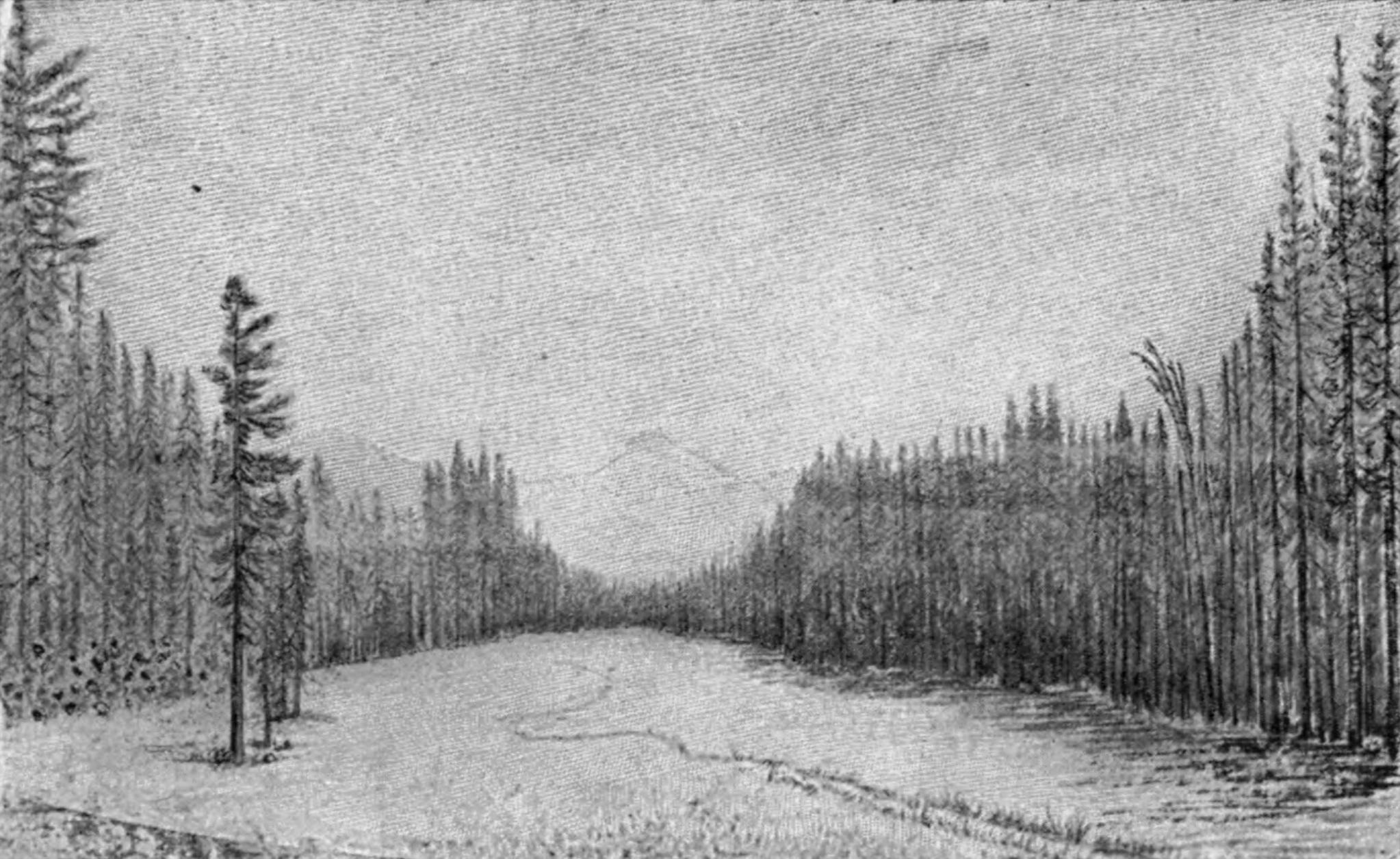 A sketch of a long, oval-shaped glacial meadow that is surrounded by a thick stand of evergreens. In the foreground sit several boulders and a downed tree trunk.