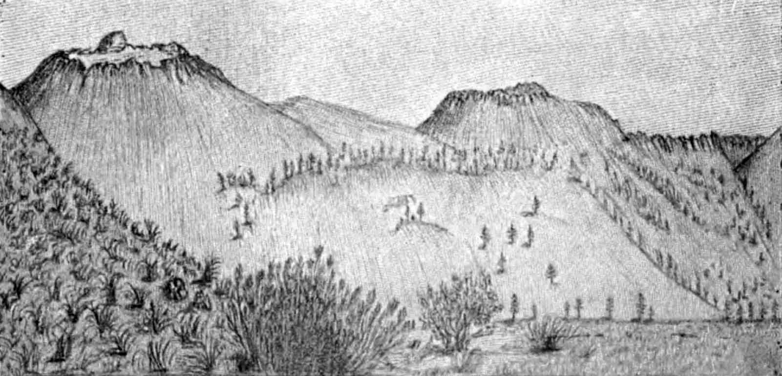 A sketch of several large, barren volcanic cones next to an alpine meadow that consists of a scattering of shrubs and other small plants.