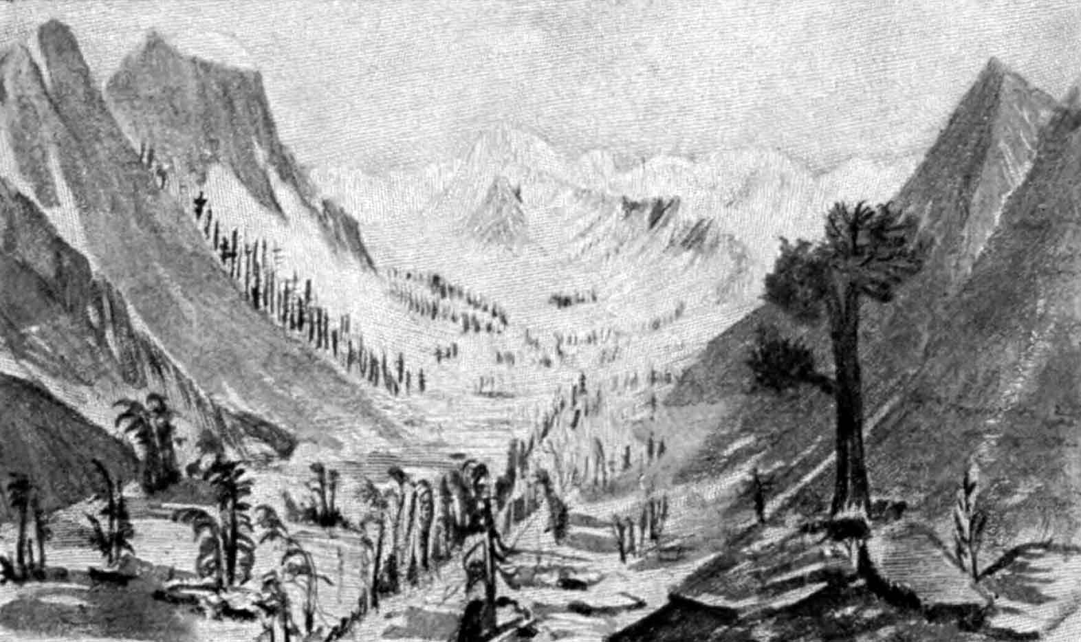 A drawing of a glacial valley with high peaks on either side of a long canyon. In the foreground, there are a few patches of trees. In the distance, the higher mountain ranges are snow-covered.