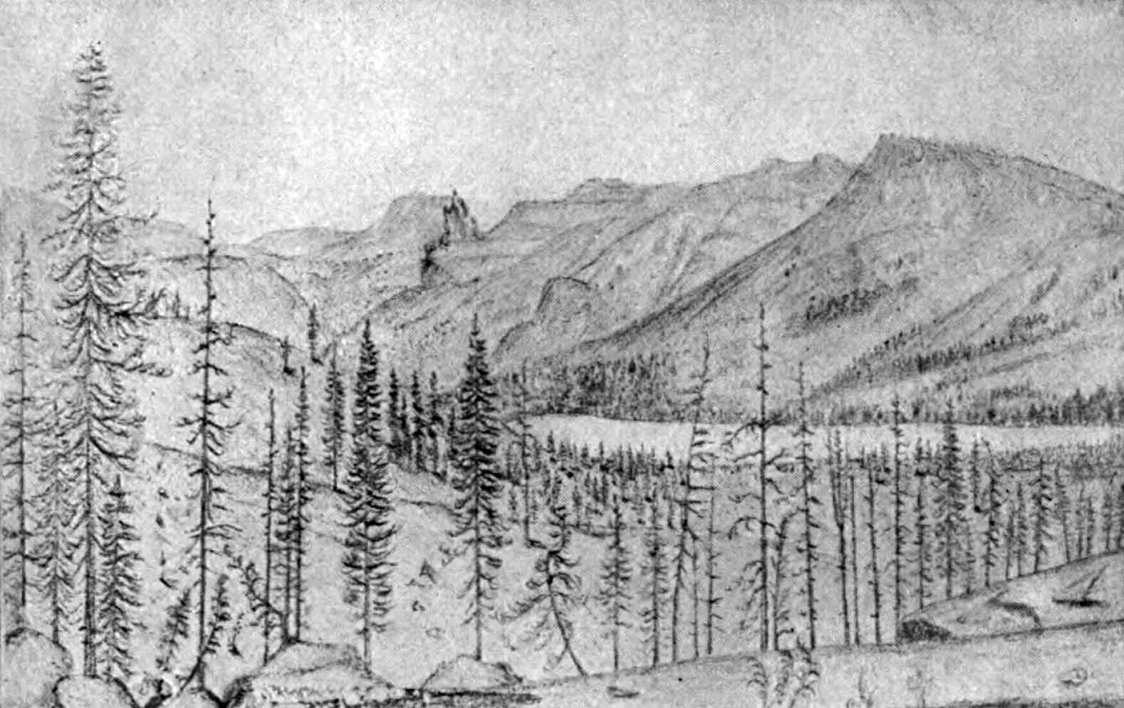 A sketch of a mountain landscape with a few tall evergreen trees and a narrow lake in the foreground and a sprawling mountain range the distance.