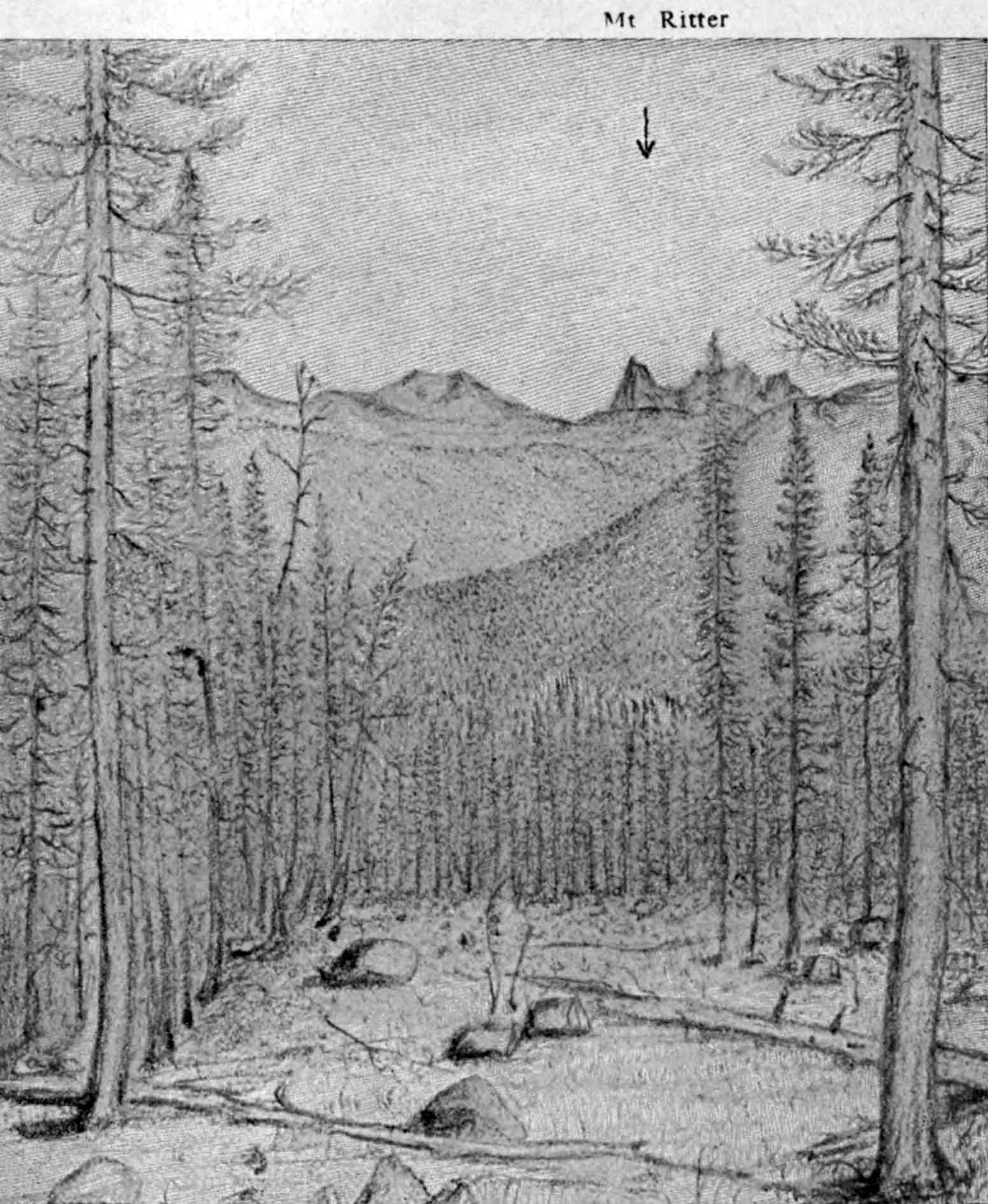 A sketch of a mountain landscape with a small clearing that is surrounded by thick forest. In the distance is a ridge of high ground and a cluster of jagged peaks.