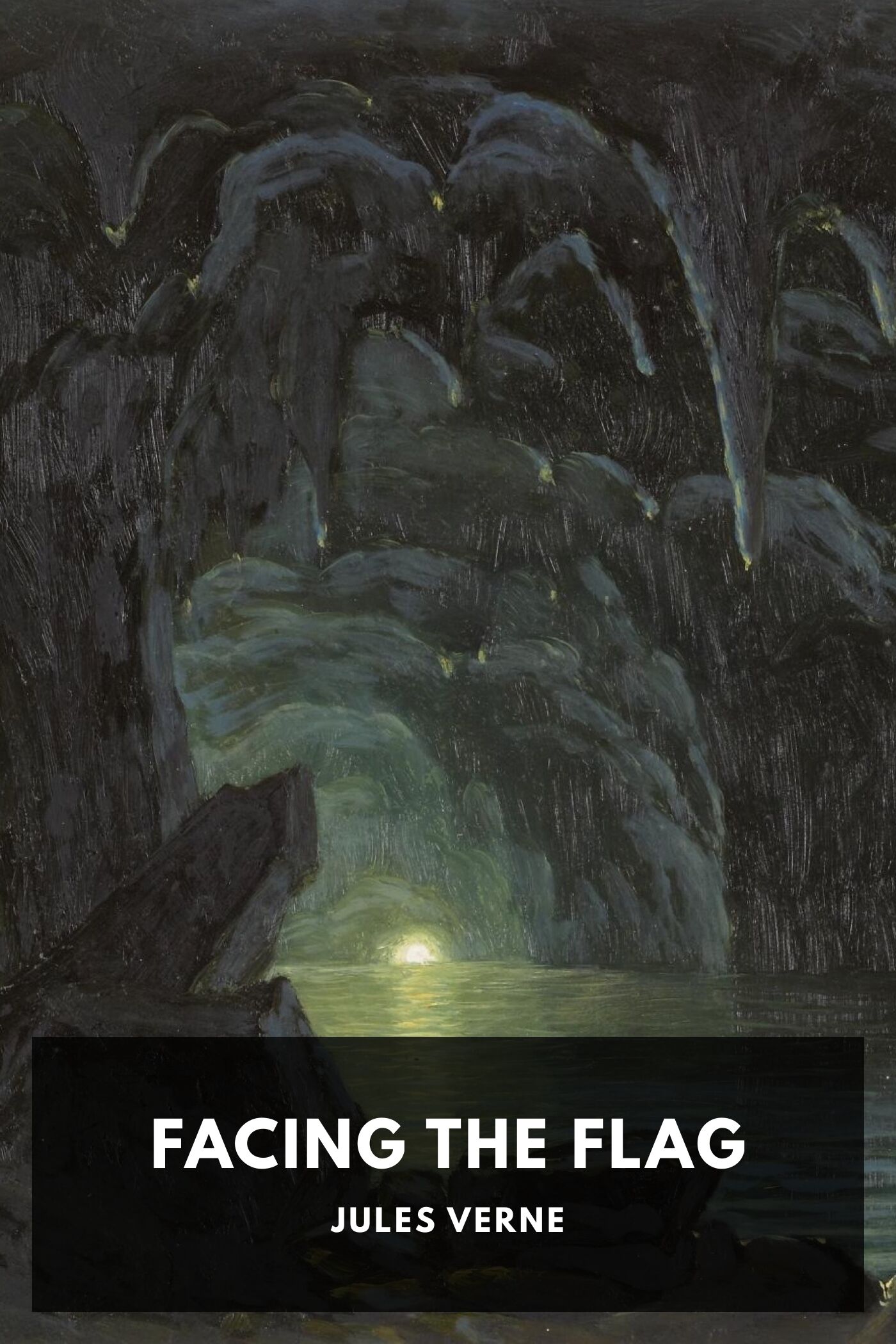 Illustrated cover for Facing the Flag by Jules Verne