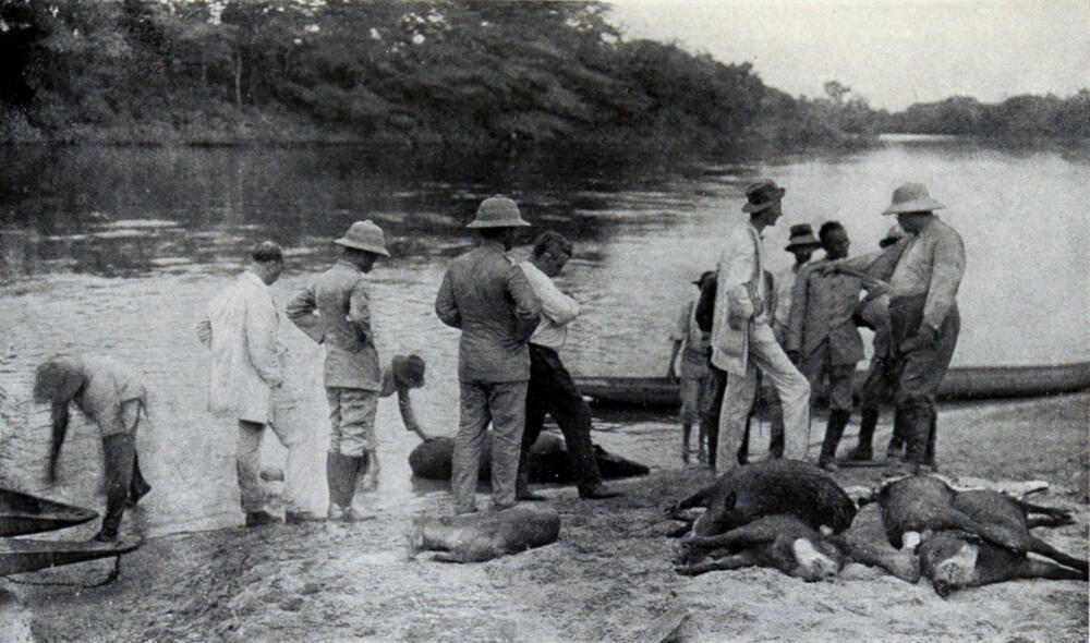 Through the Brazilian Wilderness - V: Up the River of Tapirs