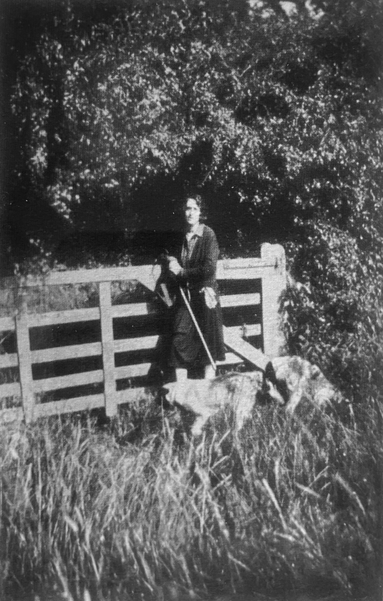 An old photo of a woman leaning on a gate in a wooded area holding a walking stick, with two dogs at her feet.