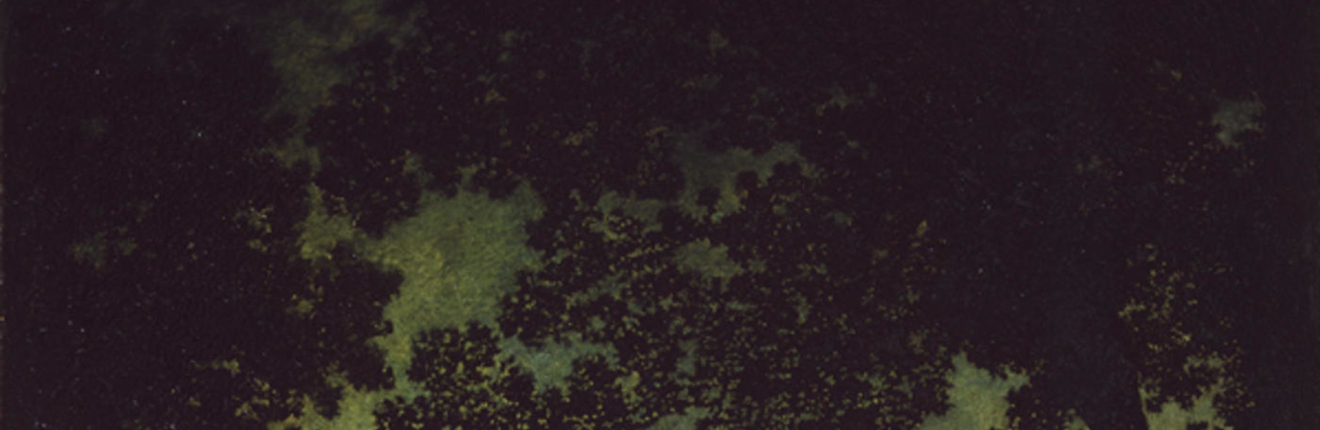 The cover for the Standard Ebooks edition of The Moon Pool, by A. Merritt