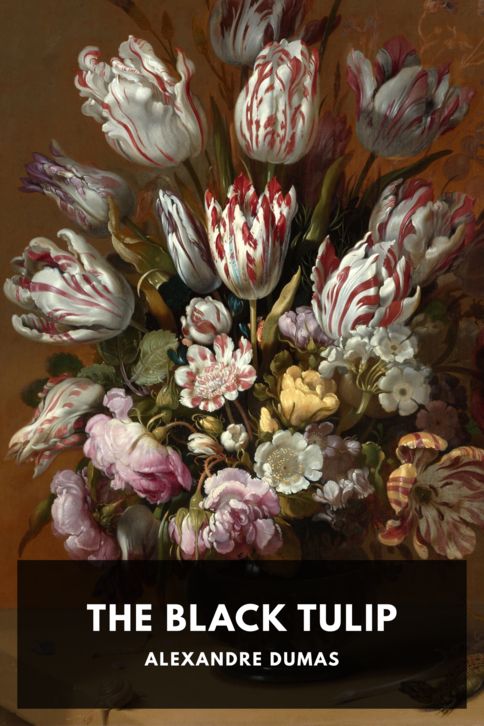 The cover for the Standard Ebooks edition of The Black Tulip, by Alexandre Dumas. Translated by P. F. Collier and Son