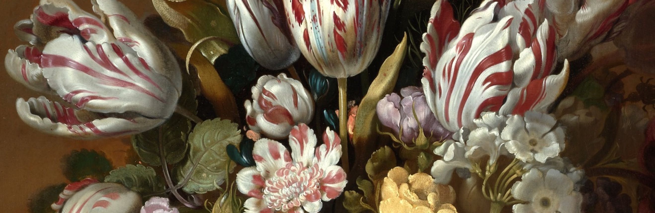 The cover for the Standard Ebooks edition of The Black Tulip.