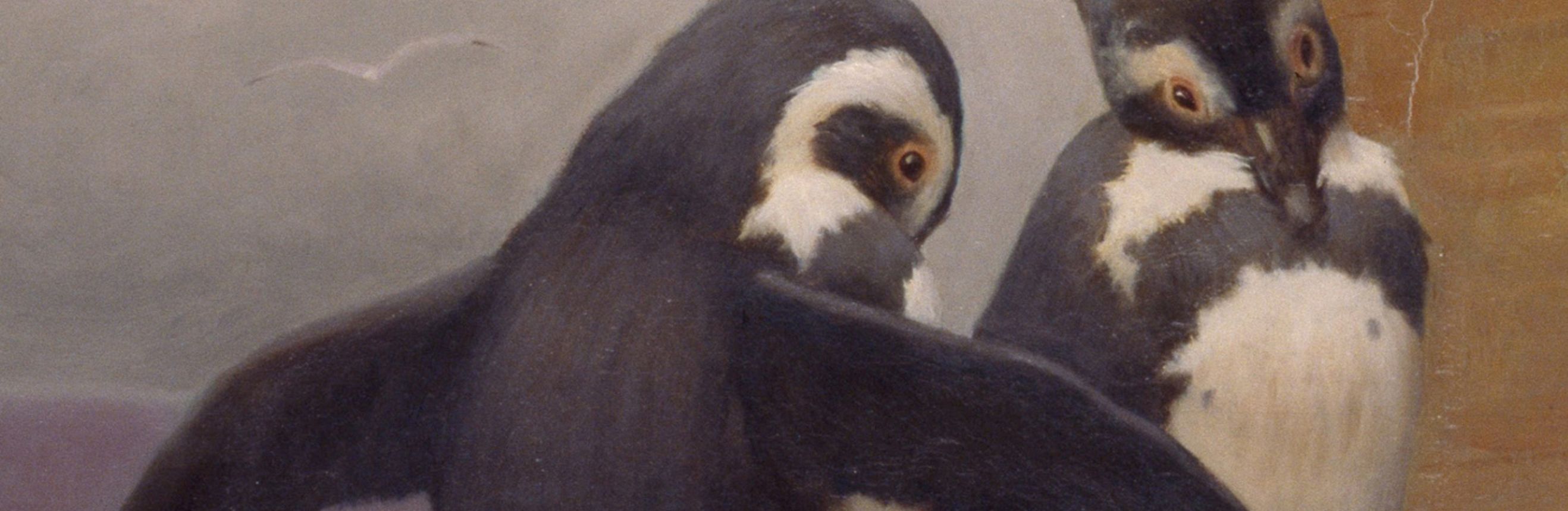 The cover for the Standard Ebooks edition of Penguin Island, by Anatole France. Translated by A. W. Evans