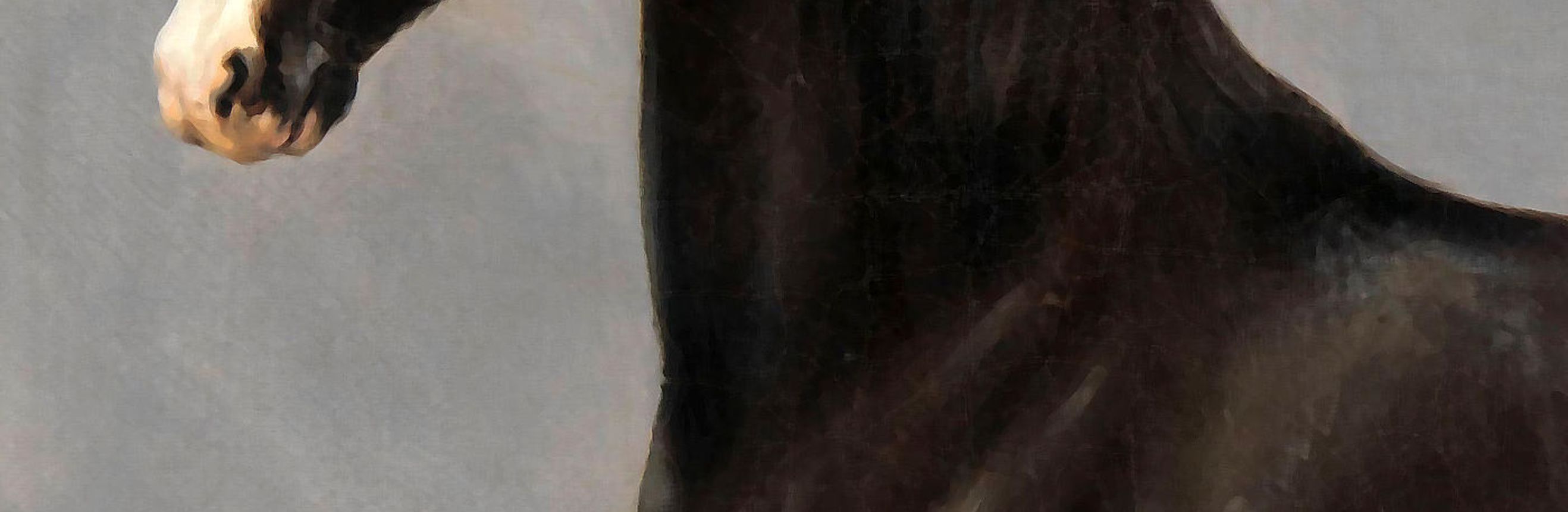 The cover for the Standard Ebooks edition of Black Beauty.