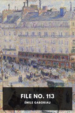 File No. 113, by Émile Gaboriau. Translated by James R. Osgood & Co.
