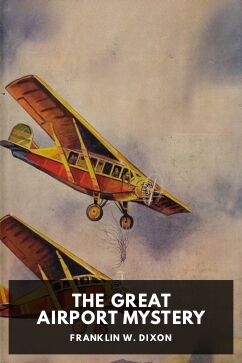 The Great Airport Mystery, by Franklin W. Dixon