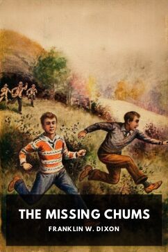 The Missing Chums, by Franklin W. Dixon