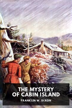The Mystery of Cabin Island, by Franklin W. Dixon