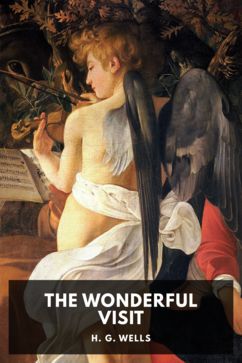 The Wonderful Visit, by H. G. Wells