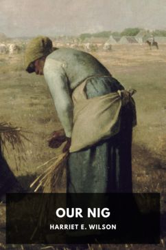 Our Nig, by Harriet E. Wilson