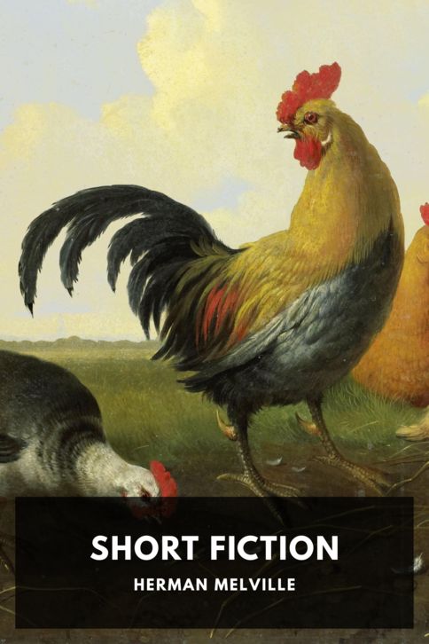 The cover for the Standard Ebooks edition of Short Fiction, by Herman Melville