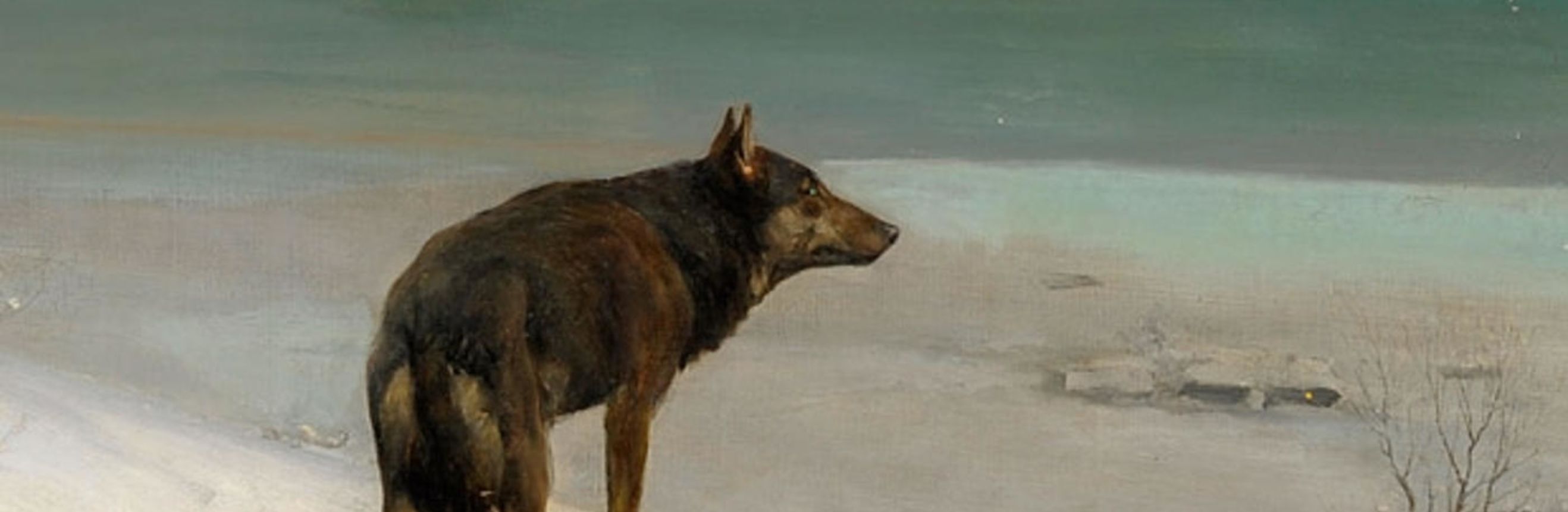 The cover for the Standard Ebooks edition of White Fang.