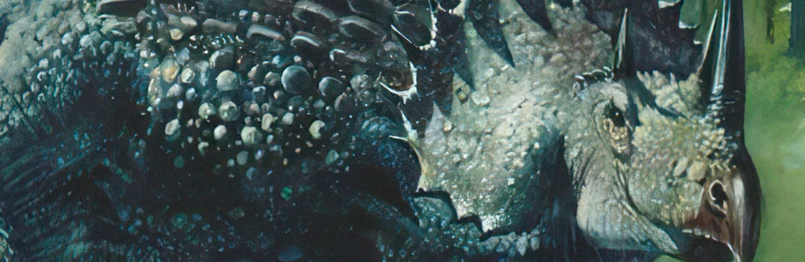 The cover for the Standard Ebooks edition of A Strange Manuscript Found in a Copper Cylinder.