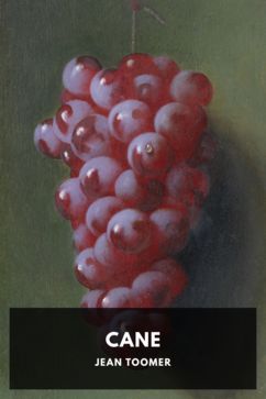 Cane, by Jean Toomer