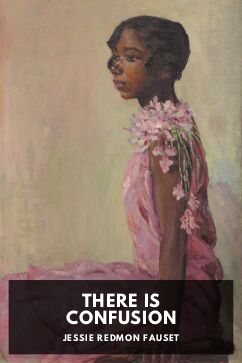 There Is Confusion, by Jessie Redmon Fauset