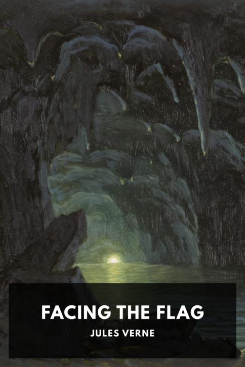 The cover for the Standard Ebooks edition of Facing the Flag, by Jules Verne. Translated by F. Tennyson Neely