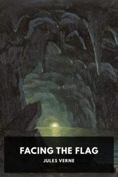 Facing the Flag, by Jules Verne. Translated by F. Tennyson Neely