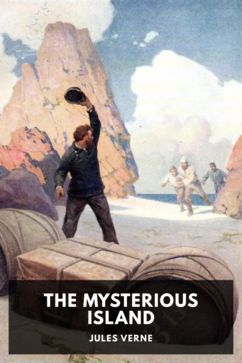 The cover for the Standard Ebooks edition of The Mysterious Island, by Jules Verne. Translated by Stephen W. White