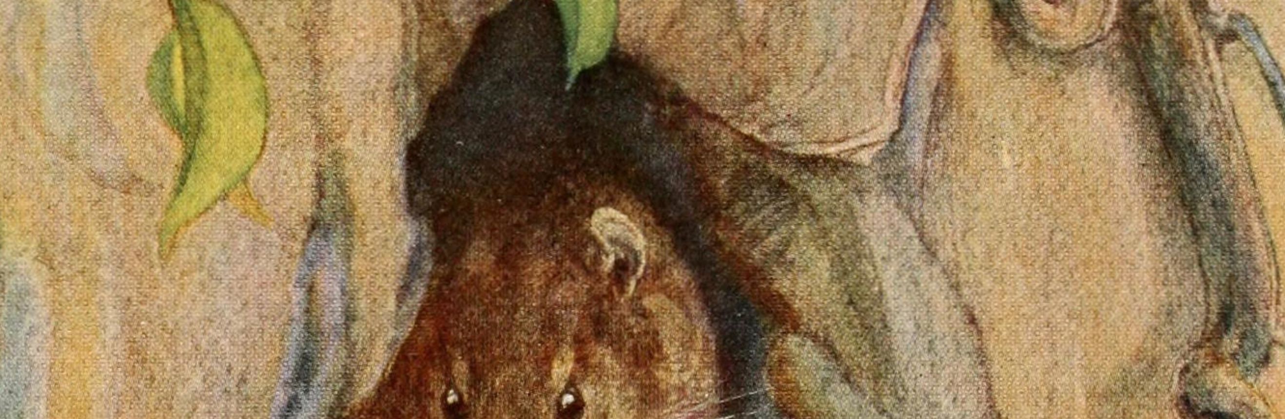 The cover for the Standard Ebooks edition of The Wind in the Willows.