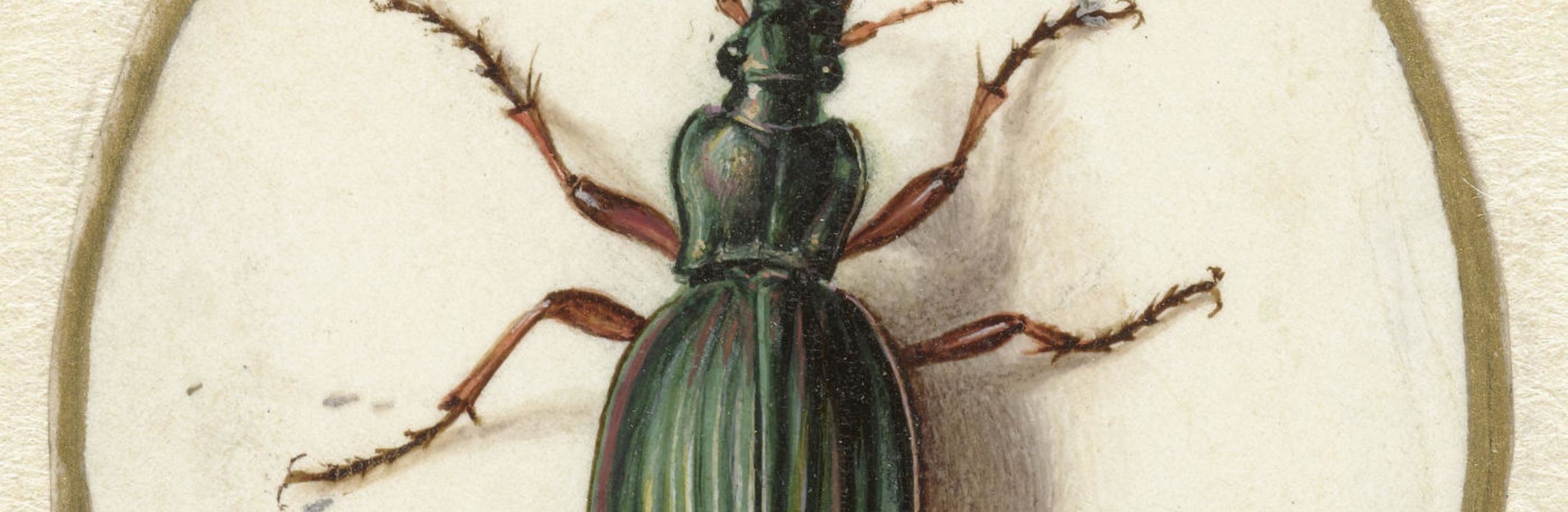 The cover for the Standard Ebooks edition of The Beetle.