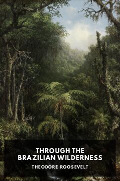 The cover for the Standard Ebooks edition of Through the Brazilian Wilderness, by Theodore Roosevelt