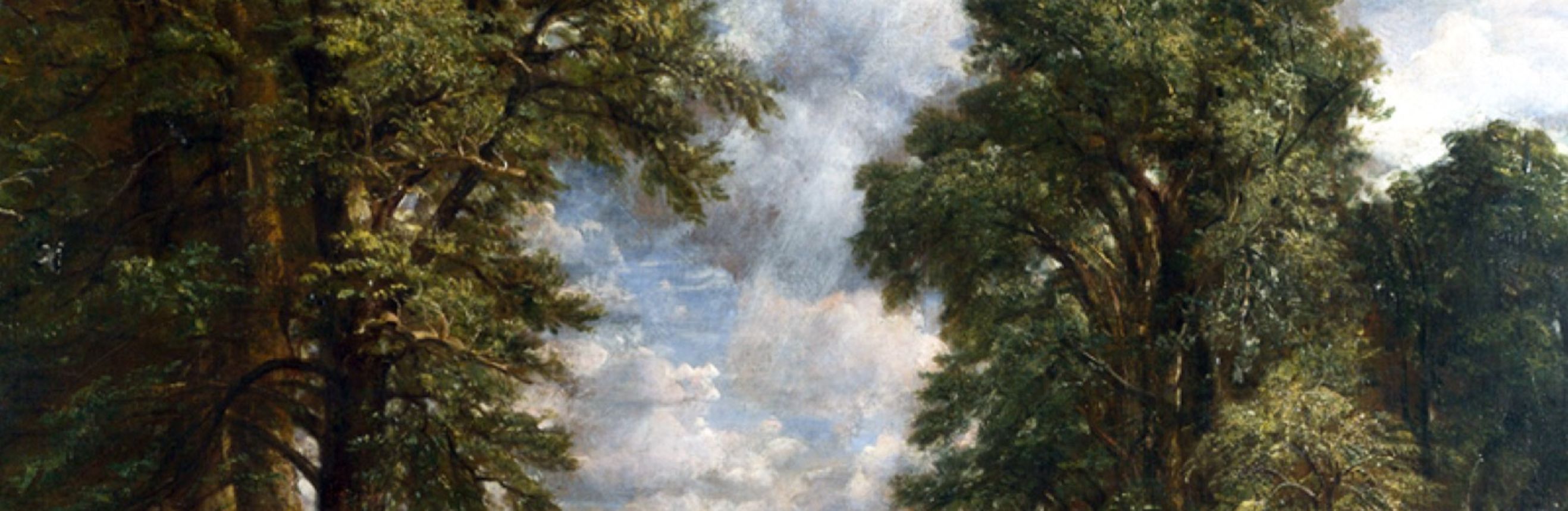 The cover for the Standard Ebooks edition of The Woodlanders.