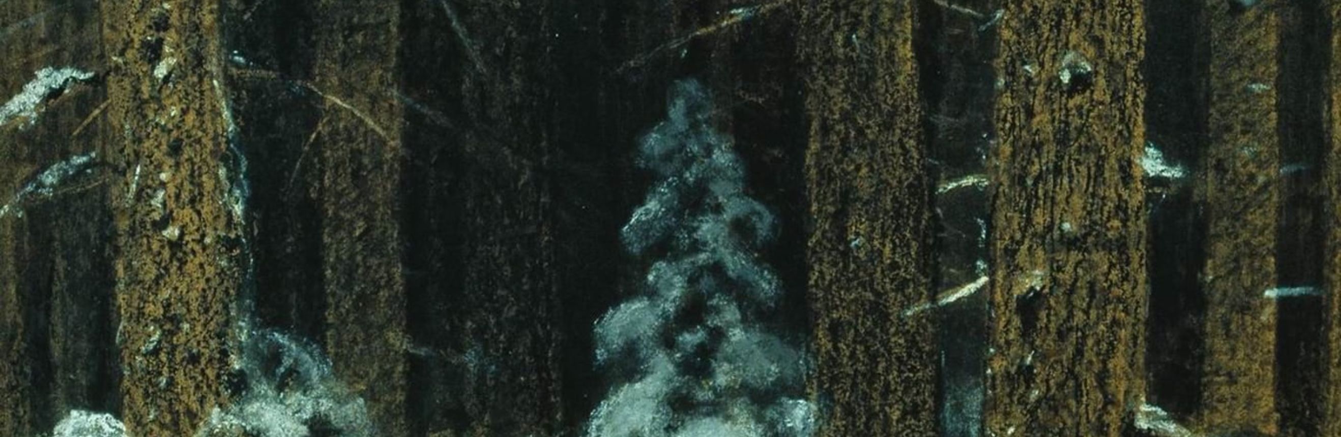 The cover for the Standard Ebooks edition of Short Fiction, by Vladimir Korolenko. Translated by Aline Delano, Sergius Stepniak, William Westall, Thomas Seltzer, The Russian Review, Marian Fell, and Clarence Manning